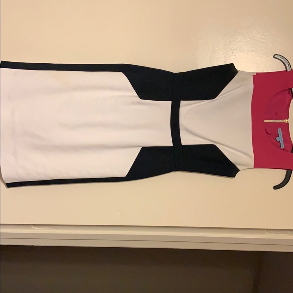 Antonio Melani Dress